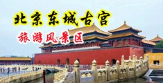 抽插美女的桃源洞中国北京-东城古宫旅游风景区